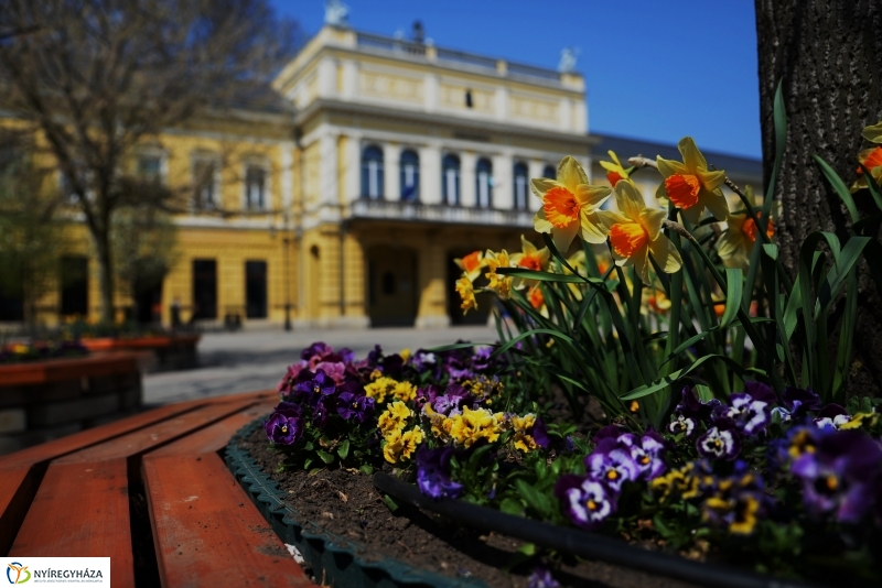 Tavaszi zsongás a belvárosban