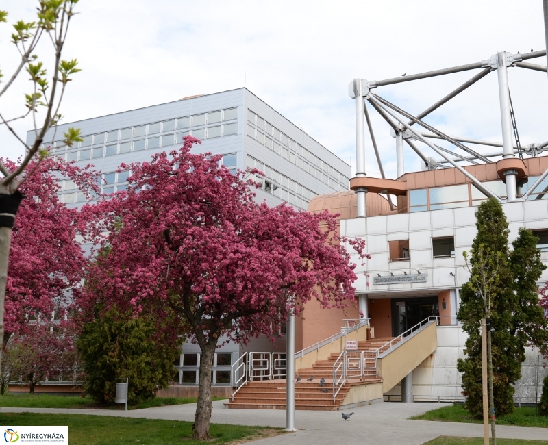 Tavaszi zsongás a belvárosban