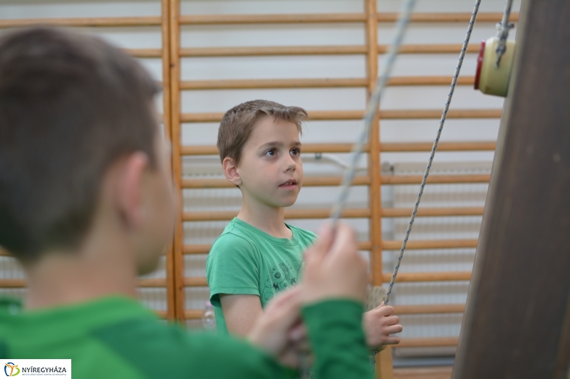 ÖKO-programok a Petőfi Sándor Általános iskolában