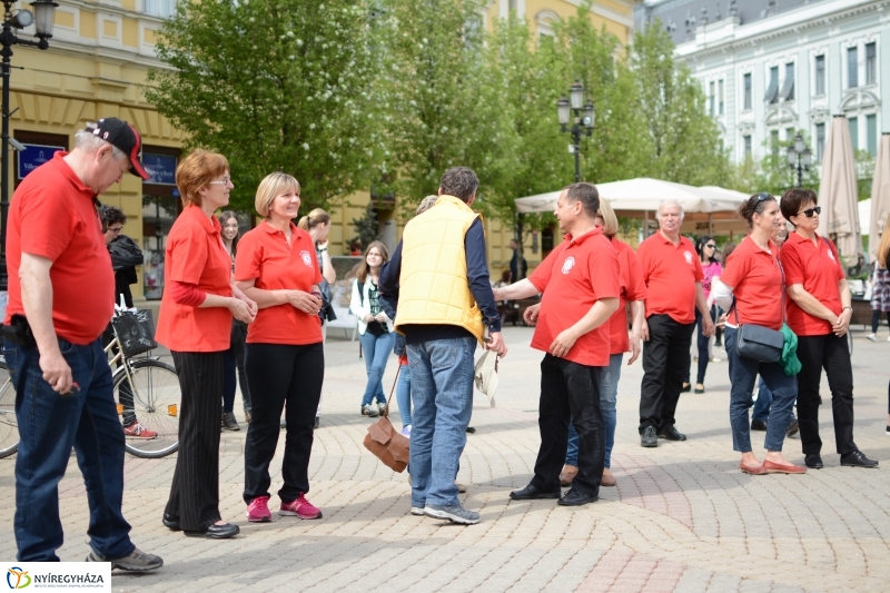 Lions szűrés a Kossuth téren