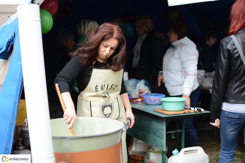 ÉVISZ 45. évforduló