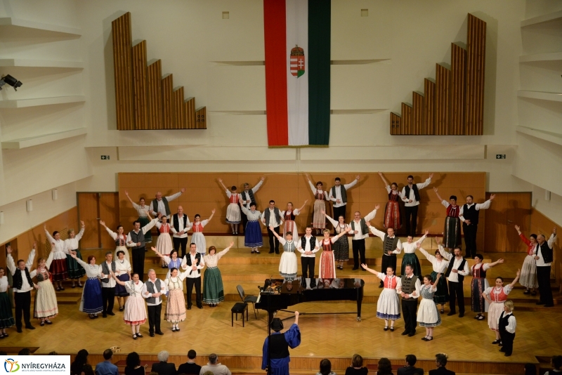 Defibrillátorért énekeltek