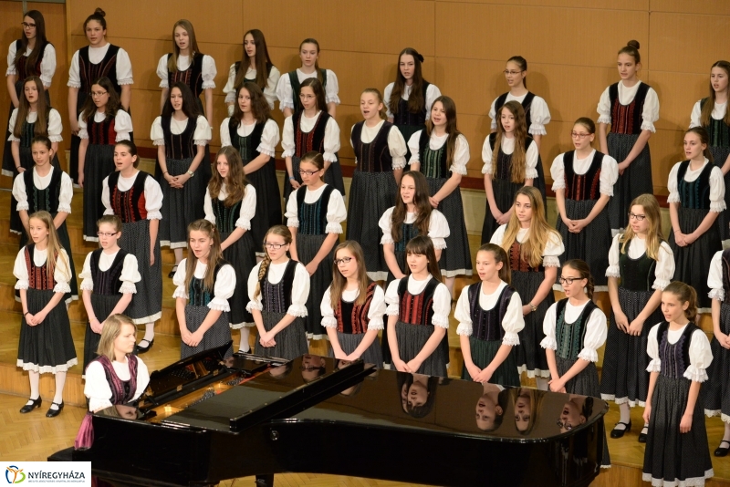 Defibrillátorért énekeltek