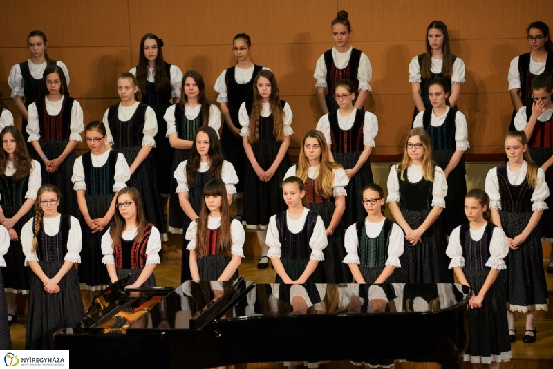 Defibrillátorért énekeltek