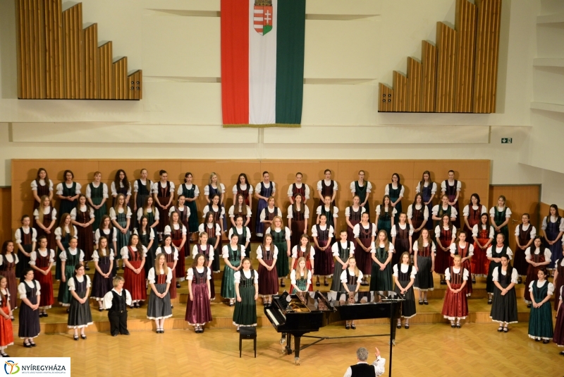 Defibrillátorért énekeltek