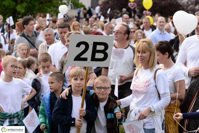 Petíció az Apáczaiért