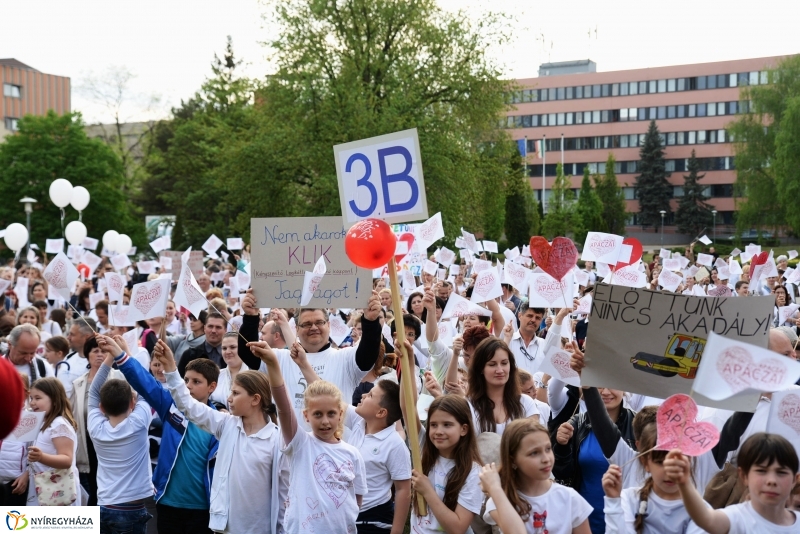 Petíció az Apáczaiért