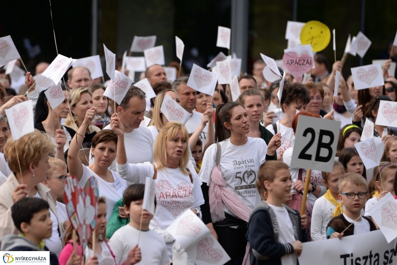 Petíció az Apáczaiért