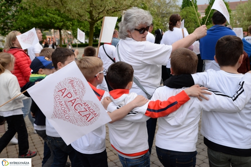 Petíció az Apáczaiért