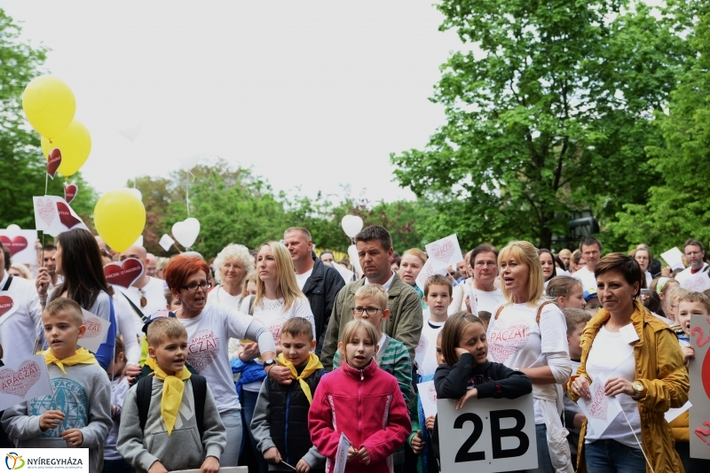 Petíció az Apáczaiért