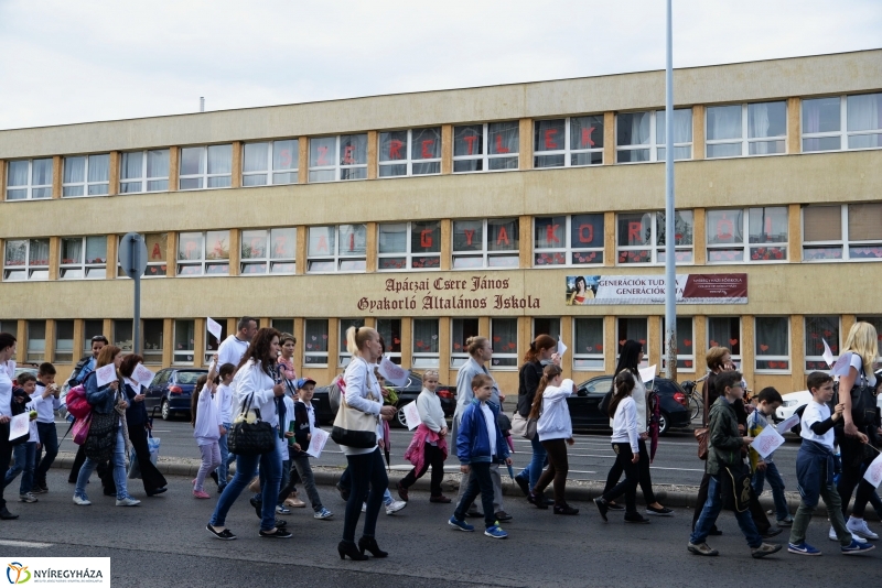 Petíció az Apáczaiért