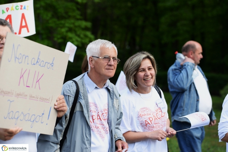 Petíció az Apáczaiért