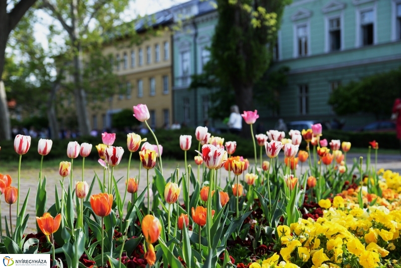 A Kölcsey Ferenc Gimnázium ballagói