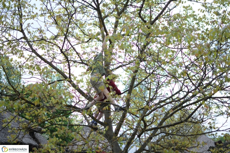 Majális a Múzeumfaluban