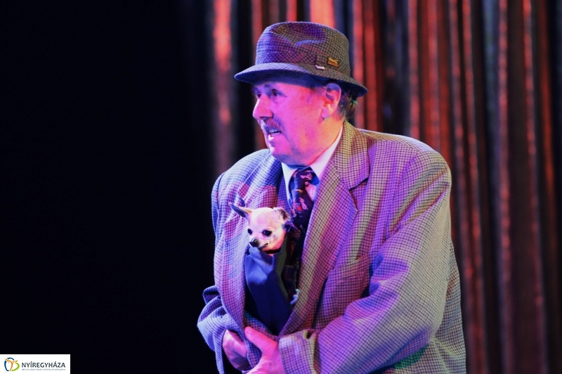 Az Exit Cirkusz előadása 