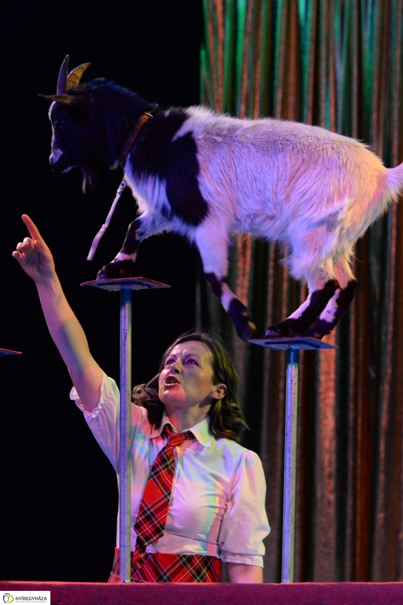 Az Exit Cirkusz előadása 