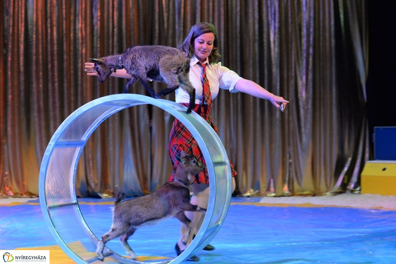 Az Exit Cirkusz előadása 