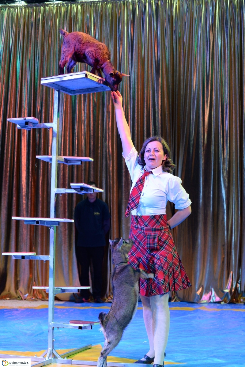 Az Exit Cirkusz előadása 