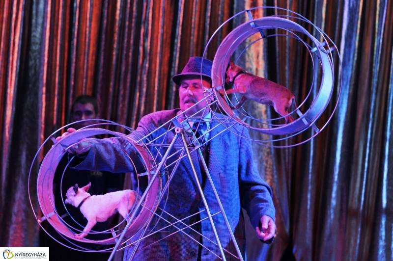 Az Exit Cirkusz előadása 