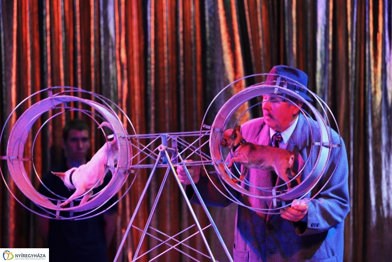 Az Exit Cirkusz előadása 