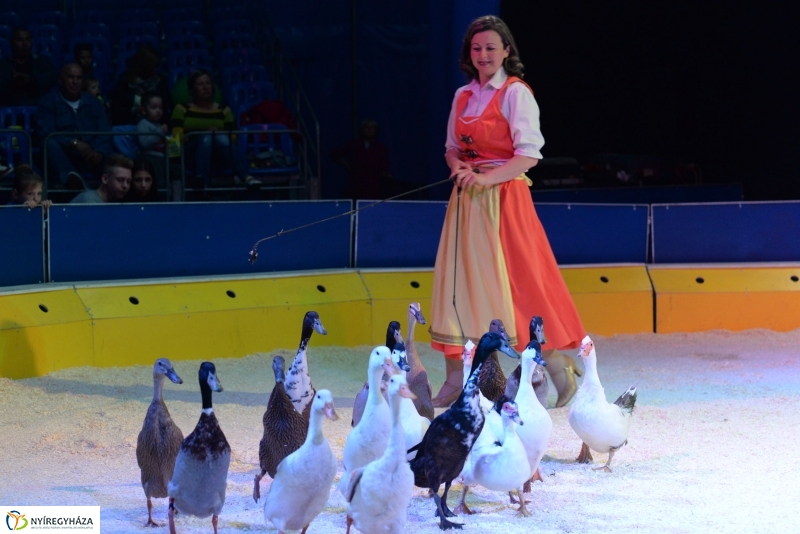 Az Exit Cirkusz előadása 