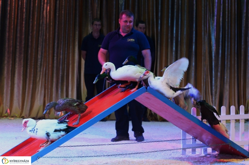 Az Exit Cirkusz előadása 