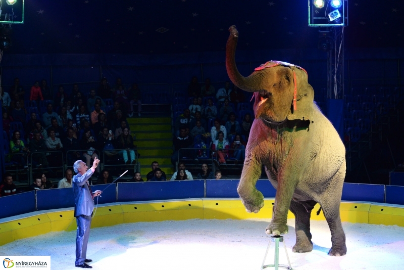 Az Exit Cirkusz előadása 