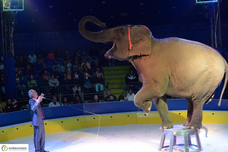 Az Exit Cirkusz előadása 