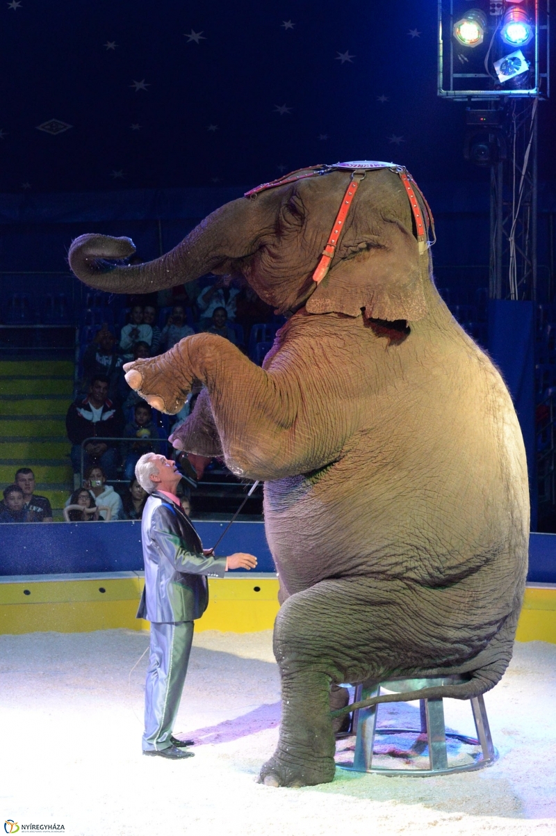 Az Exit Cirkusz előadása 