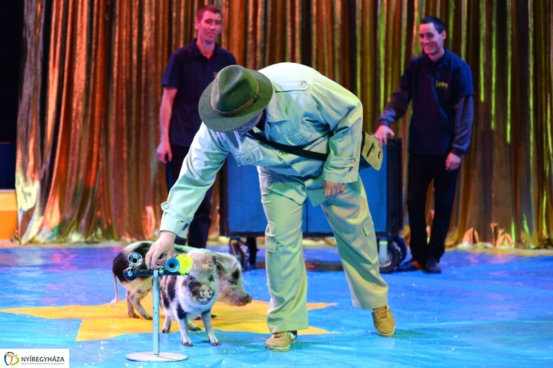 Az Exit Cirkusz előadása 