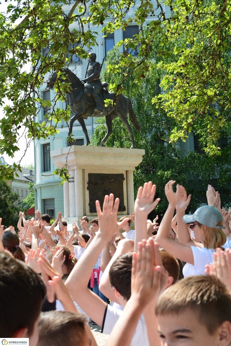 Flash Mob a Nyíregyházán 