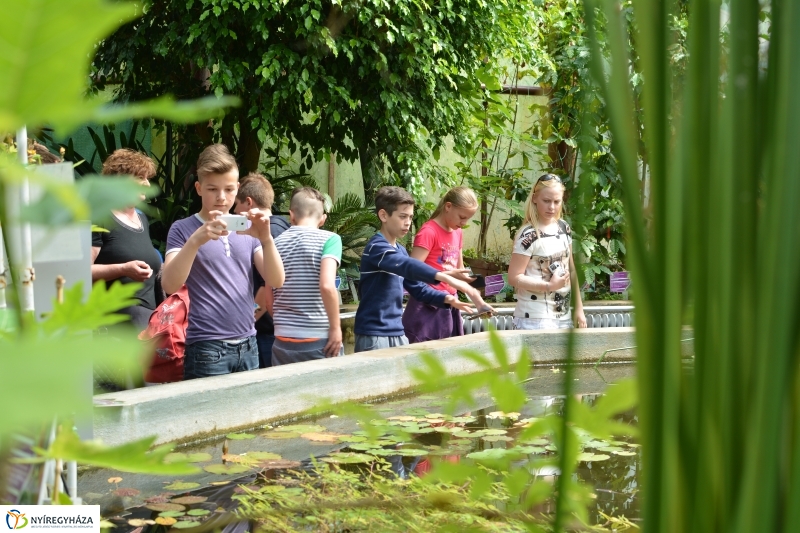 Madarak és Fák Napja a Tuzson János Botanikus Kertben
