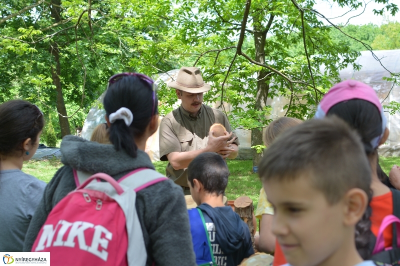 Madarak és Fák Napja a Tuzson János Botanikus Kertben