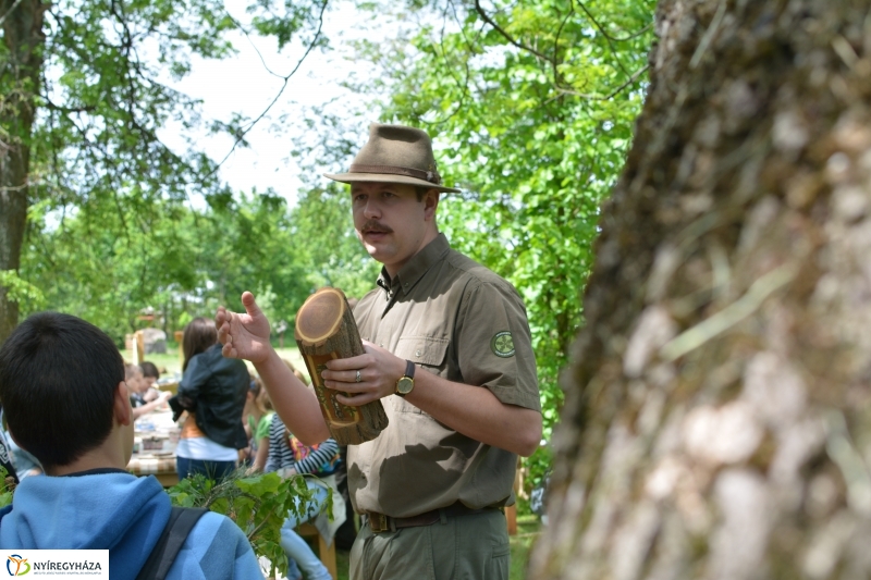 Madarak és Fák Napja a Tuzson János Botanikus Kertben