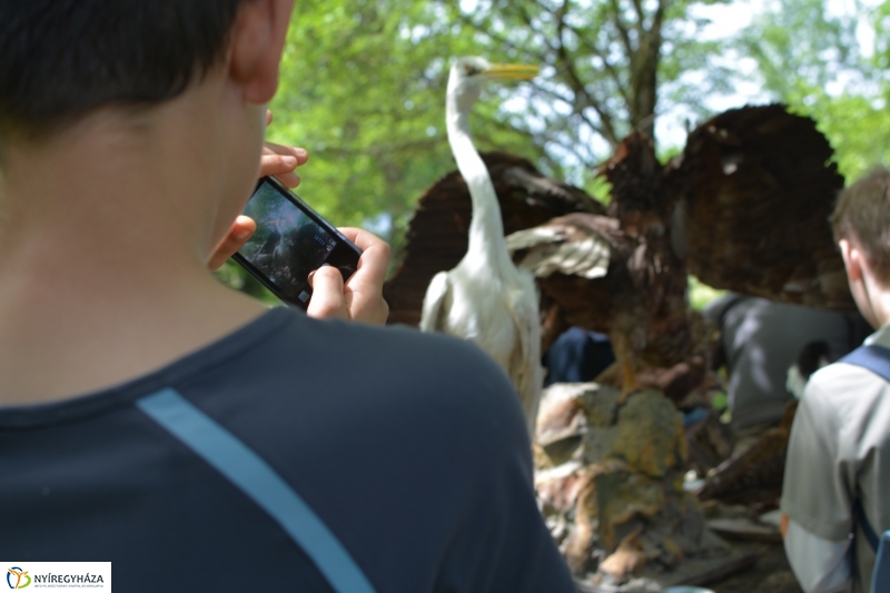 Madarak és Fák Napja a Tuzson János Botanikus Kertben