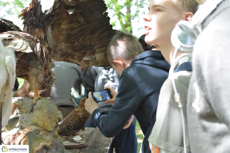 Madarak és Fák Napja a Tuzson János Botanikus Kertben