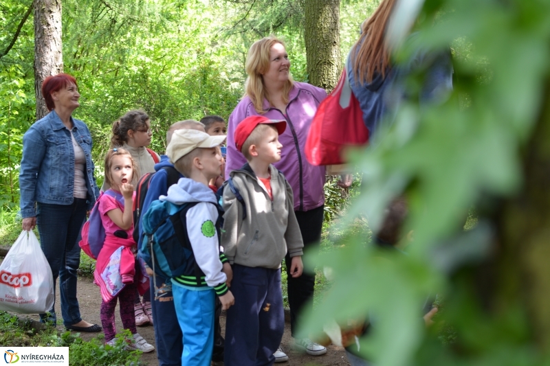 Madarak és Fák Napja a Tuzson János Botanikus Kertben