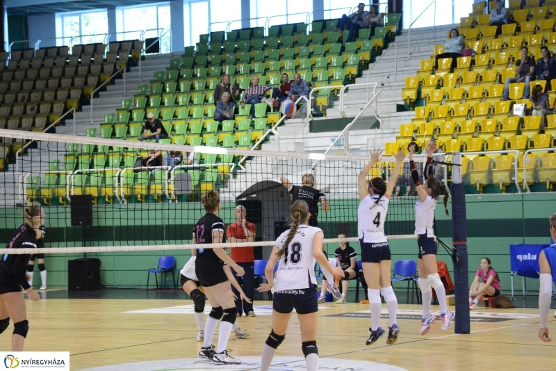 Fatum Nyírsuli - Aluprof-TF