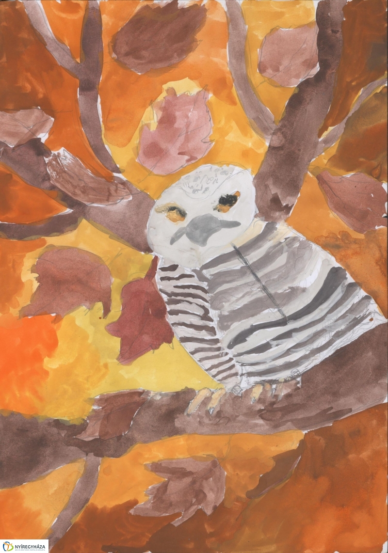 Rajzpályázat - 1. galéria