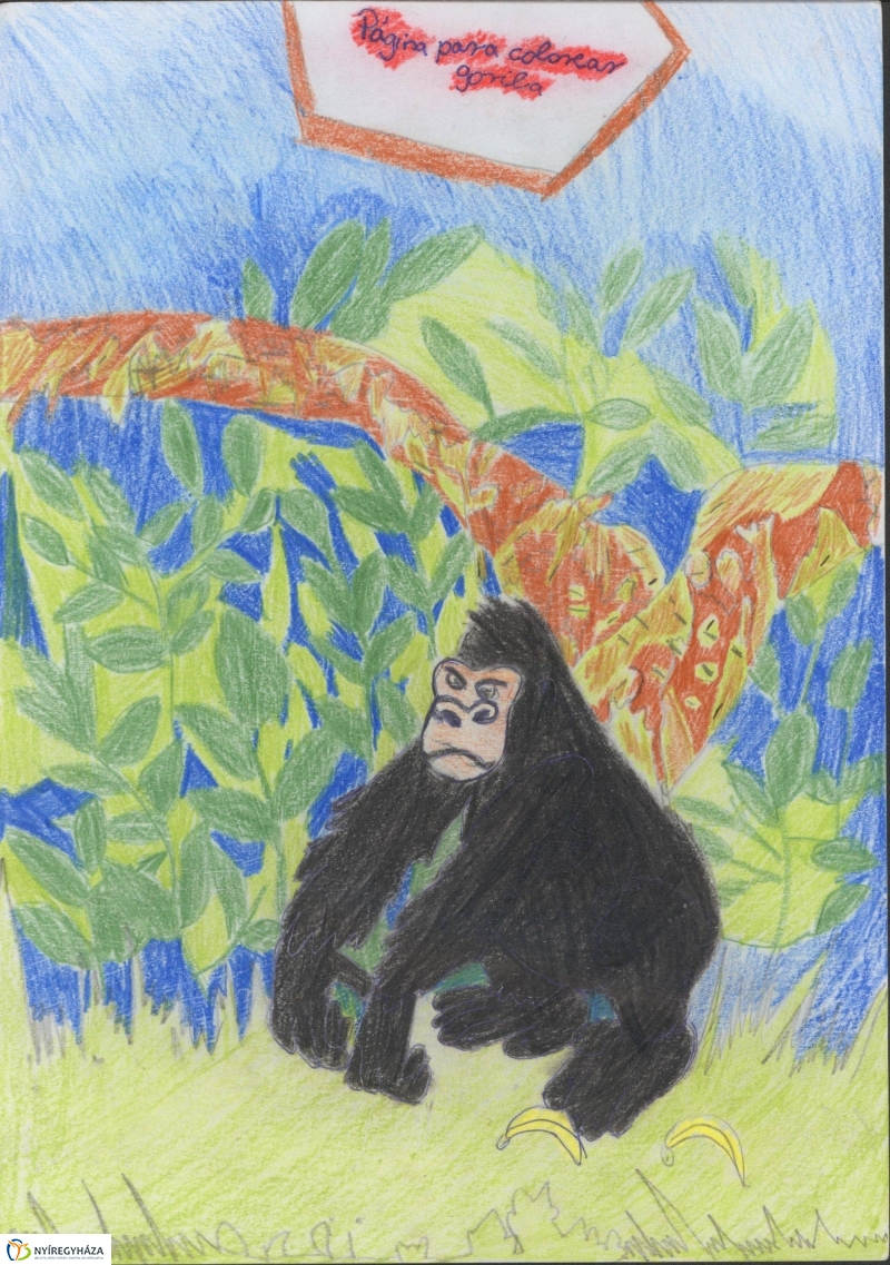 Rajzpályázat - 1. galéria