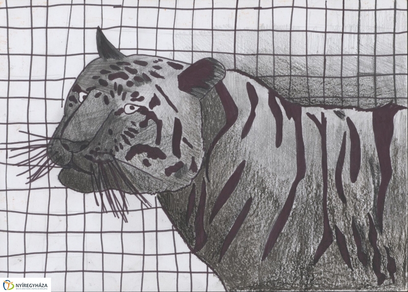 Rajzpályázat - 2. galéria