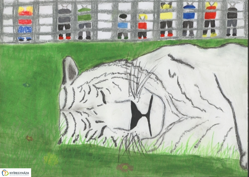 Rajzpályázat - 2. galéria
