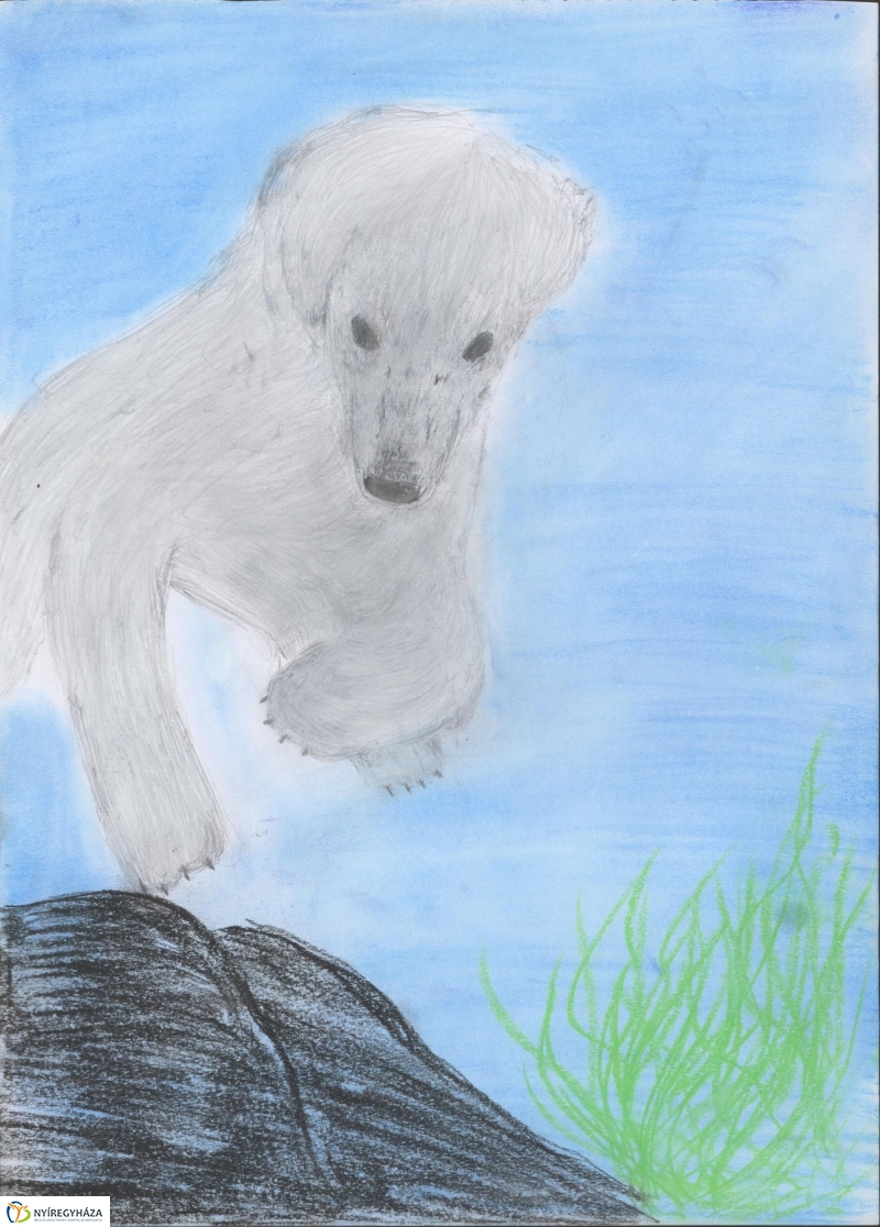 Rajzpályázat - 3. galéria