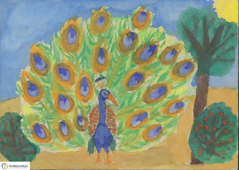 Rajzpályázat - 3. galéria