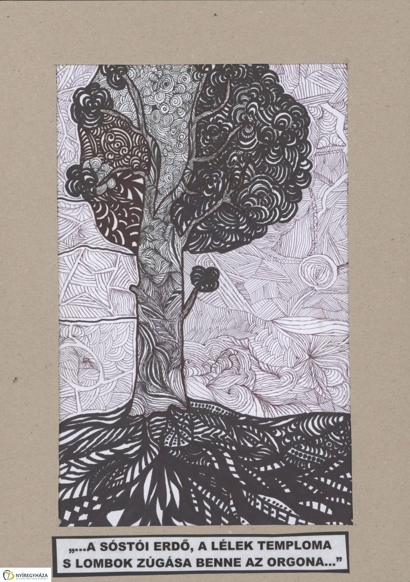 Rajzpályázat - 3. galéria