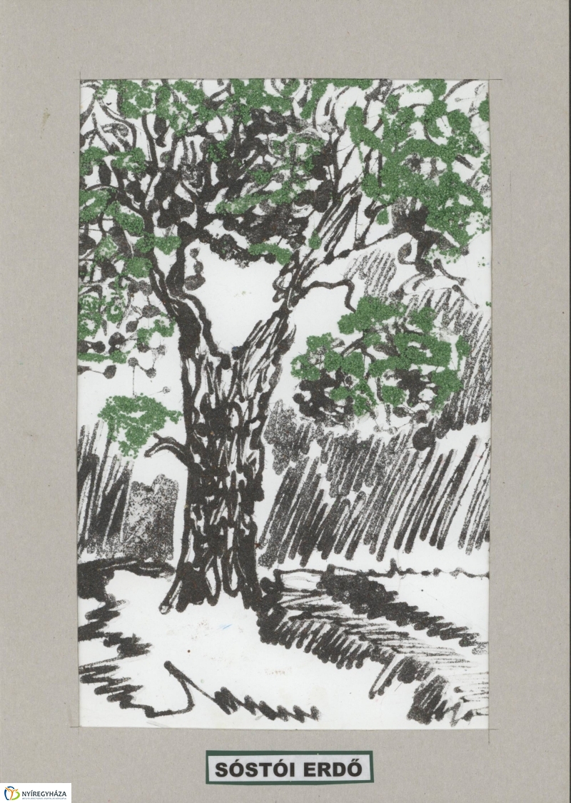 Rajzpályázat - 3. galéria