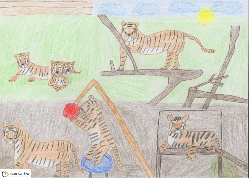 Rajzpályázat - 4. galéria