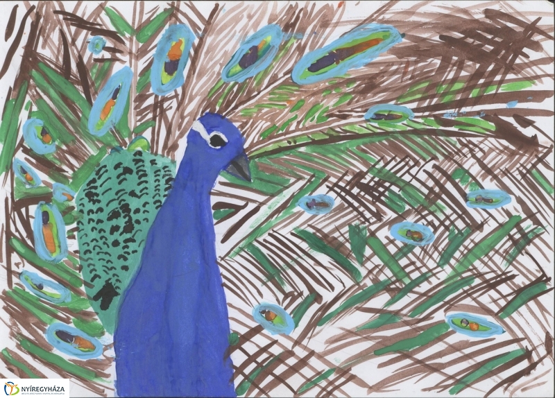 Rajzpályázat - 4. galéria