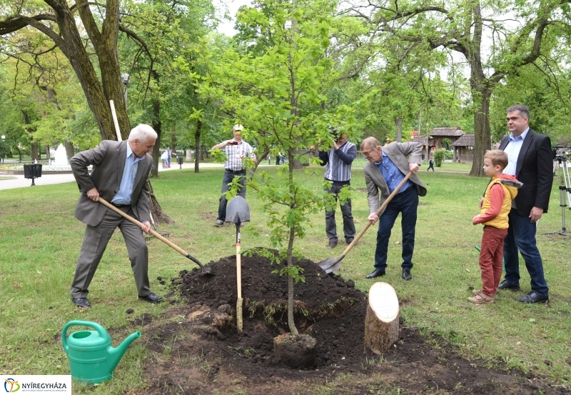 Faültetés a testvérváros képviselőivel