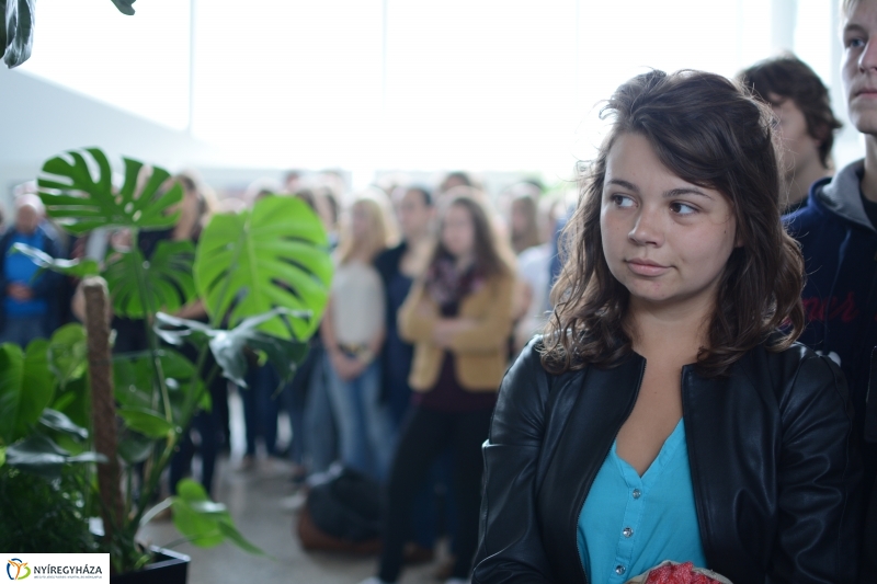 Izraeli kiállítás a VMKK-ban